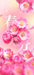 春分节气宣传海报展板