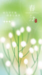 春分节气宣传海报展板