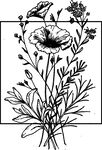 黑线条花