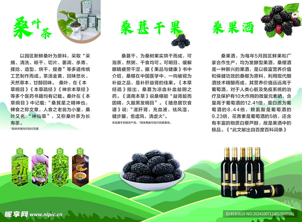 桑葚园折页