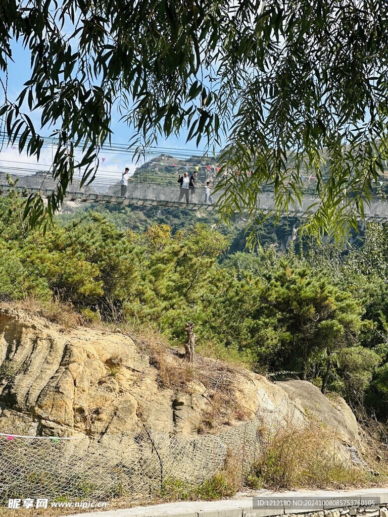 茶山风景 大山