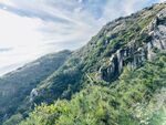 茶山风景 山顶风景