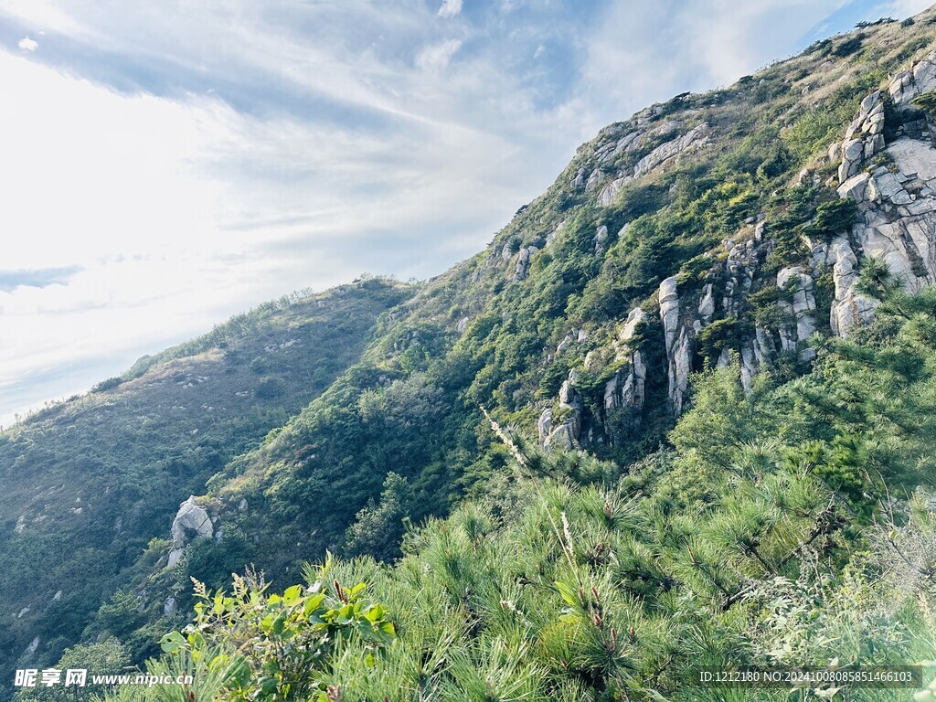 茶山风景 山顶风景