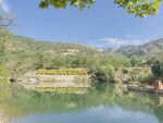 茶山风景   湖水