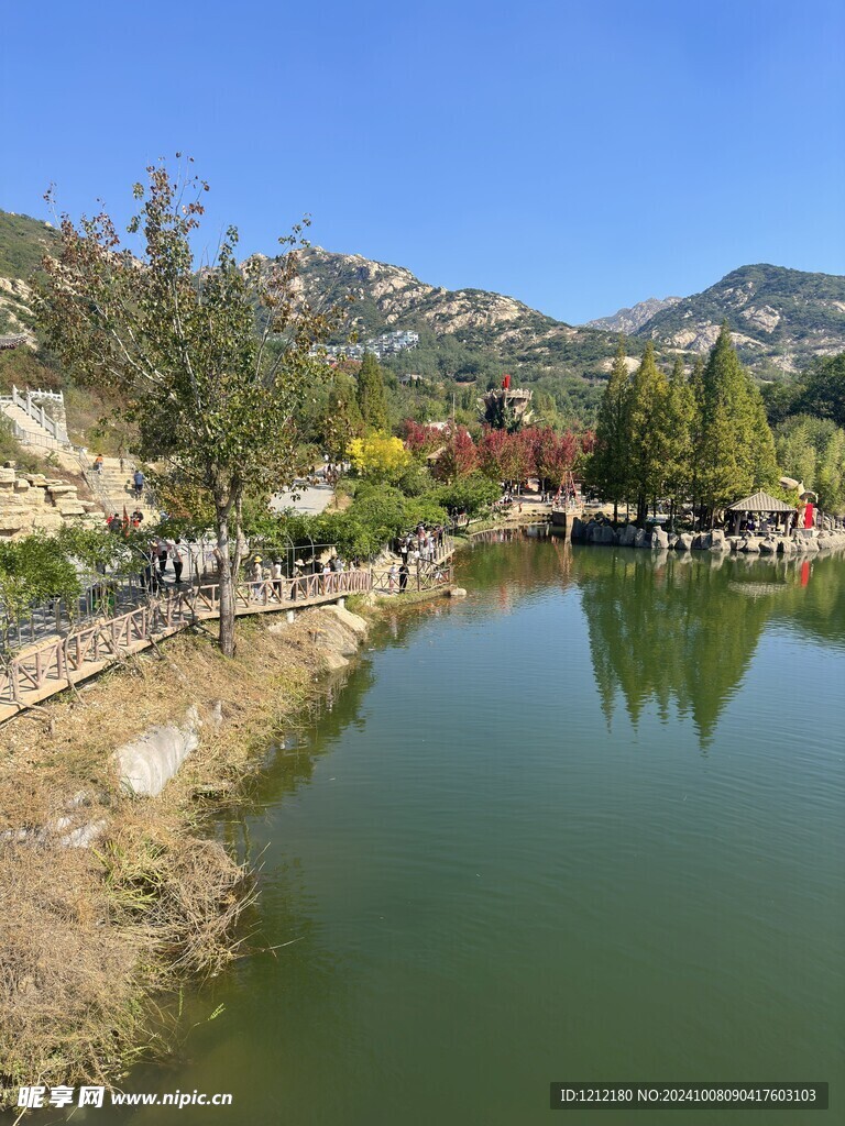 茶山风景  