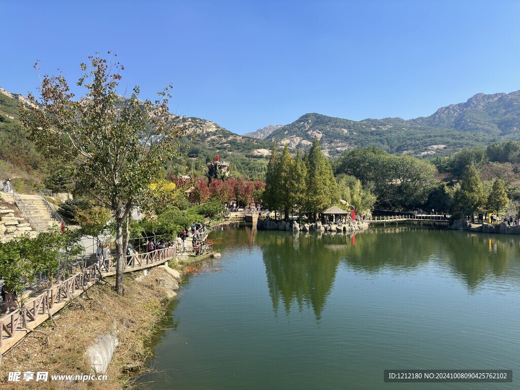 茶山风景  绿树 蓝天 