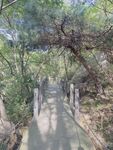 林间小路