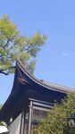 石鼓书院