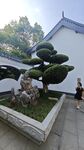石鼓书院