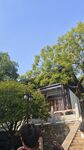 石鼓书院