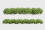 草本植物叶子透明素材 