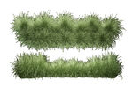 草本植物叶子透明素材 