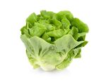 生菜