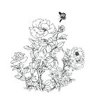 月季花线稿