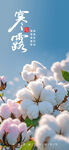 寒露