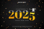2025年