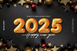 2025年