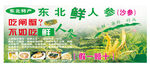 鲜沙参 