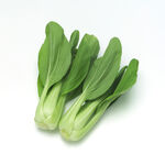 青菜 