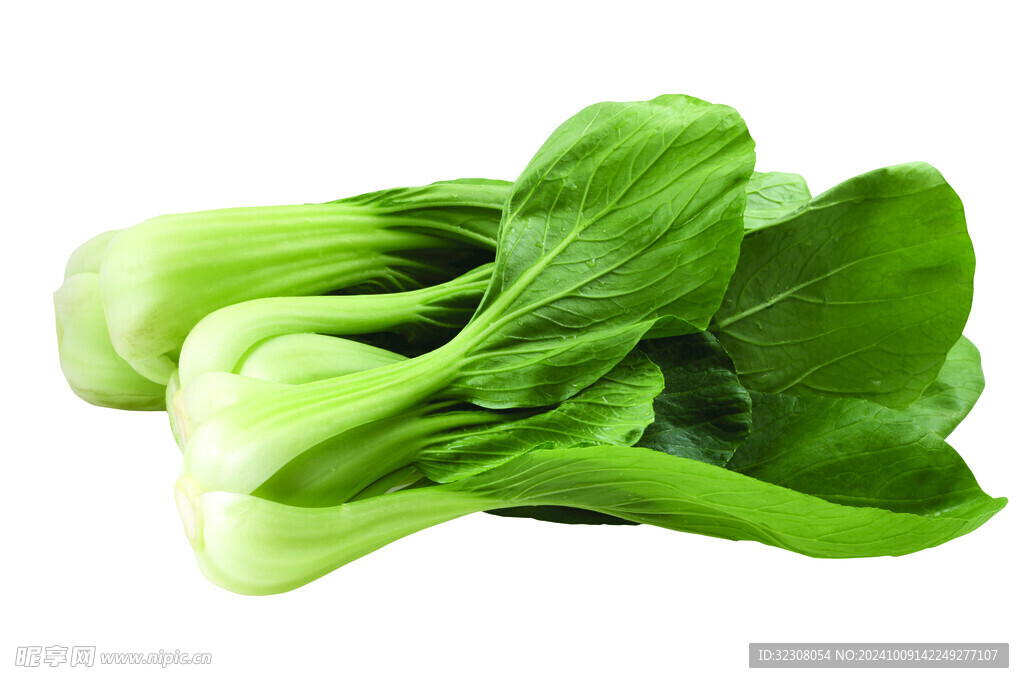 青菜  