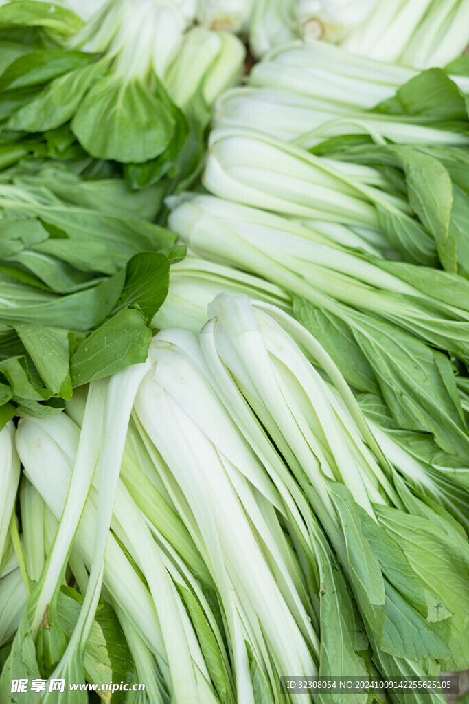 青菜  