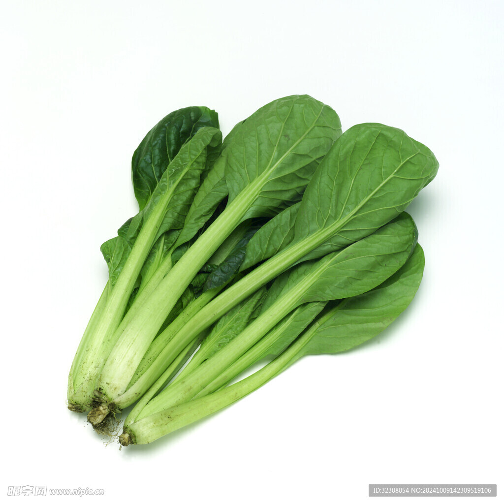 青菜  