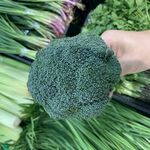 西兰花