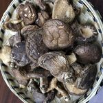 干香菇