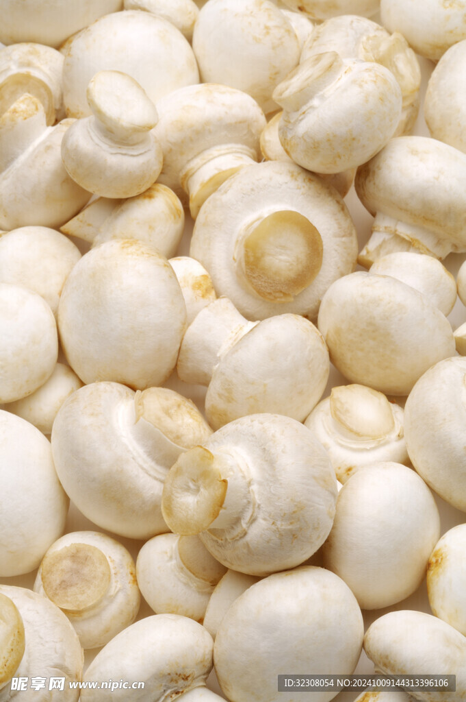 菌菇