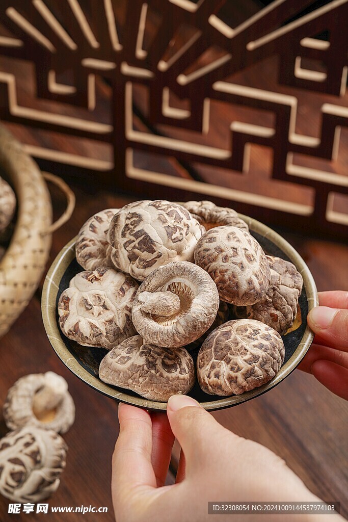 菌菇