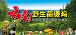 云南野生菌