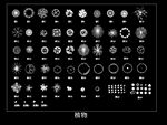 园林植物大全CAD