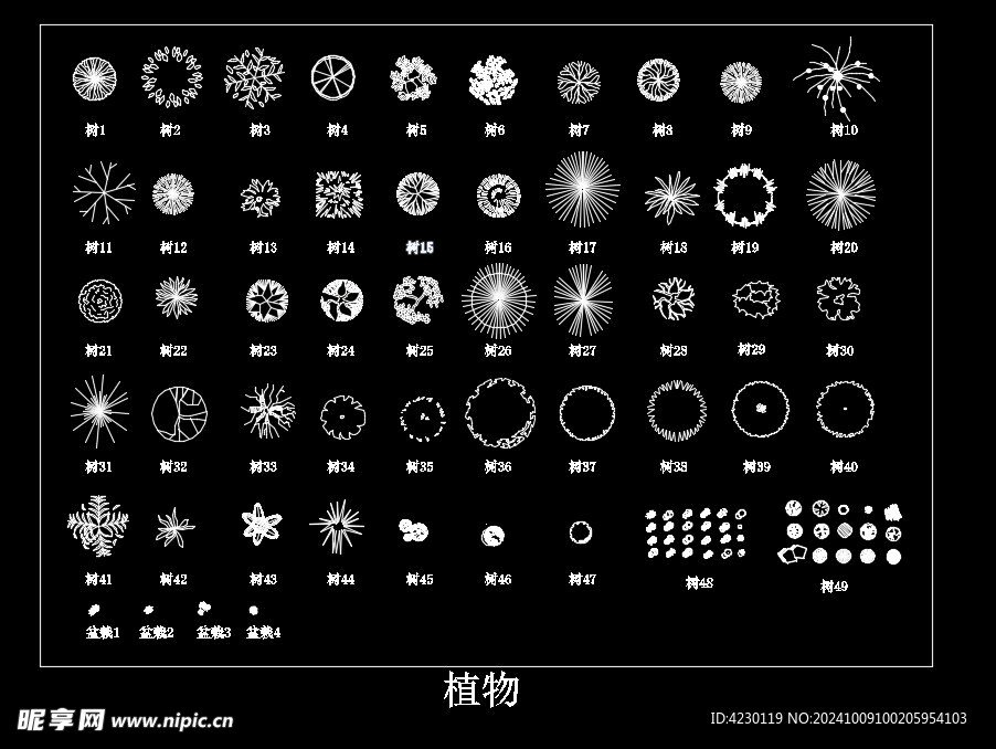 园林植物大全CAD