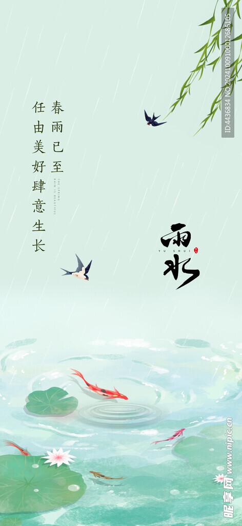 雨水