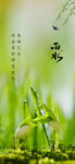 雨水