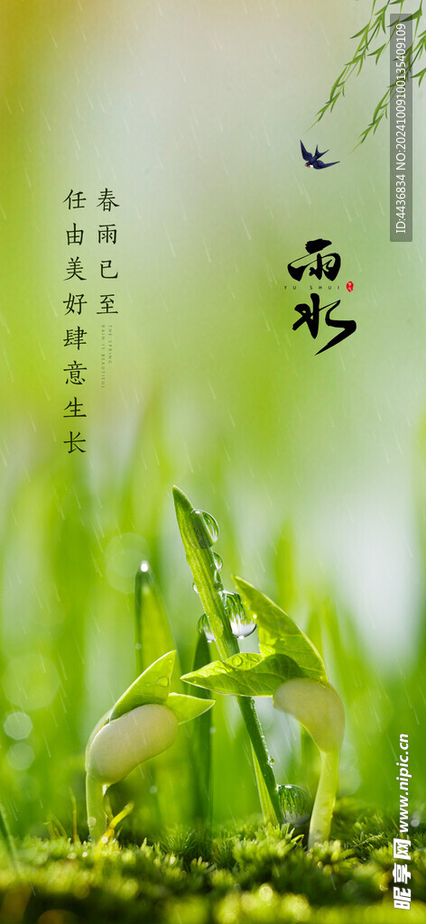 雨水