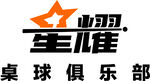 原创logo设计 星耀桌球