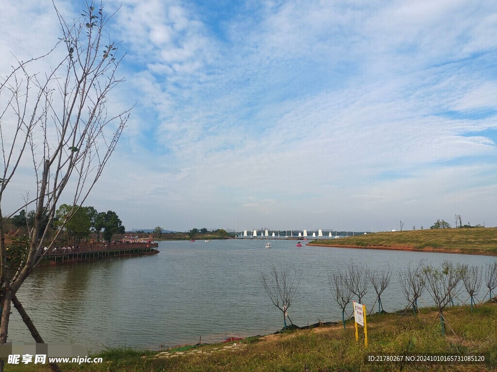 江边风景