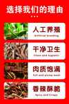 蚂蚱手举牌