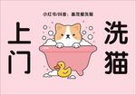 上门洗猫