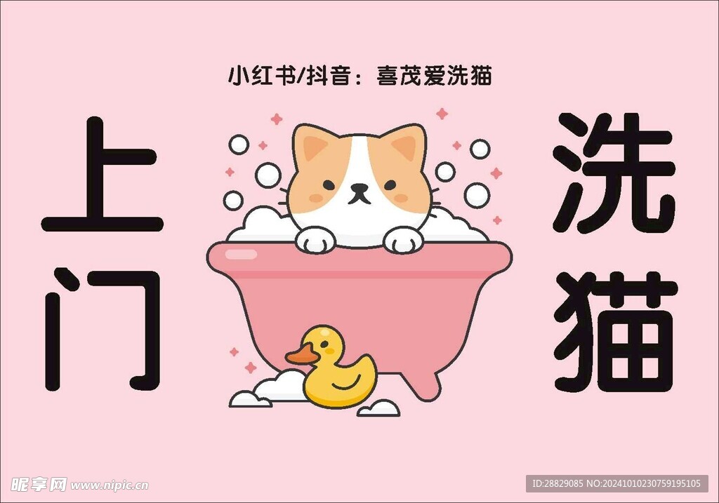 上门洗猫