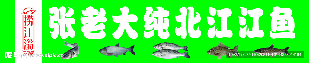 纯江鱼