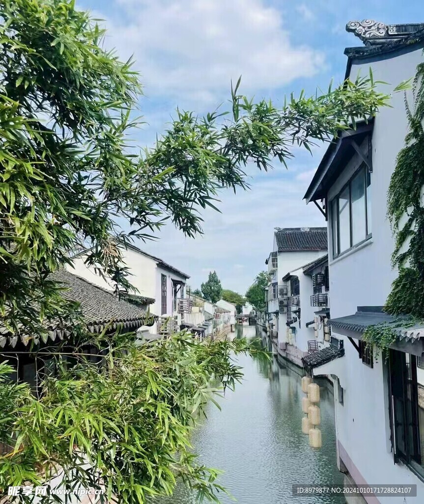  苏州  树叶 竹子 河流