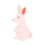 可爱小兔子插画扁平设计纯色背景