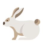 可爱小兔子插画扁平设计纯色背景