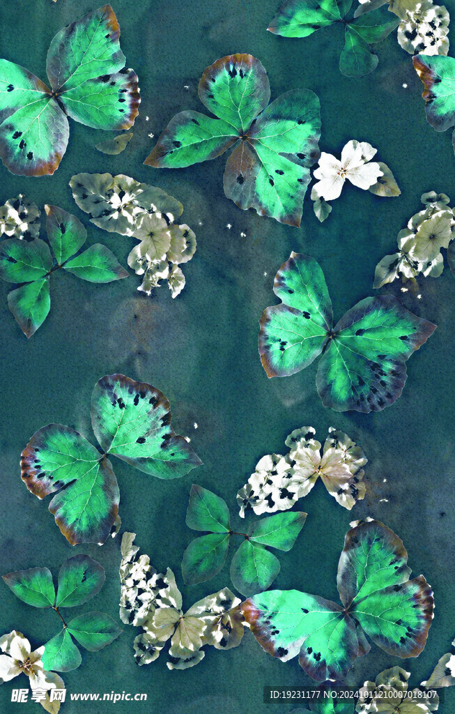 数码印花 