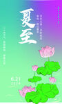 荷花插画