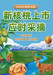 核桃