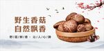 野生香菇