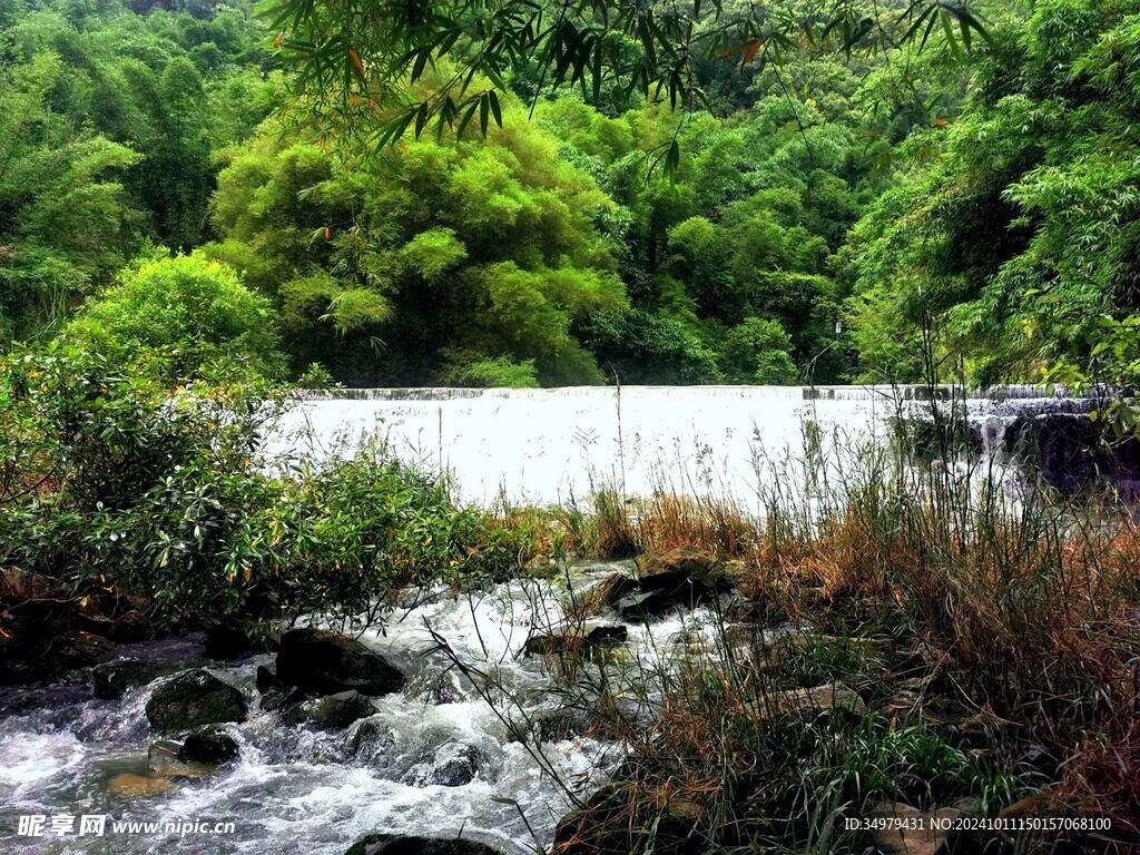 小溪流水